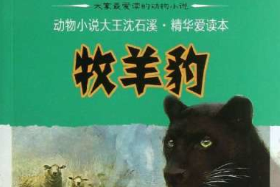 牧羊豹 牧羊豹