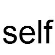 self(英文單詞)