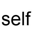 self(英文單詞) self(英文單詞)