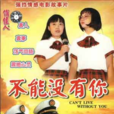 不能沒有你(1998年陳軍執導電影)