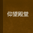 仰望殿堂 仰望殿堂