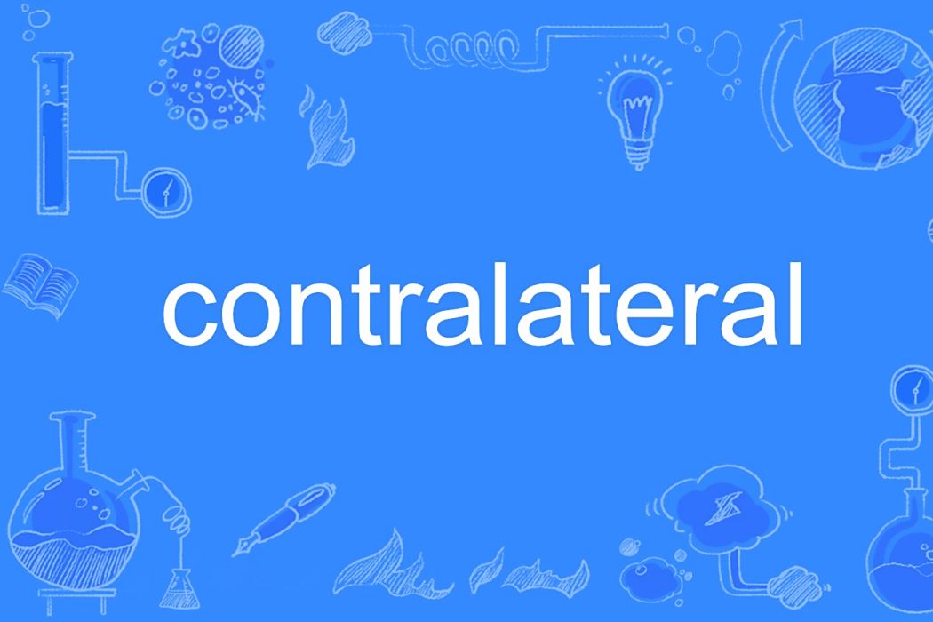 contralateral contralateral
