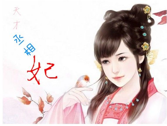 天才丞相妃 天才丞相妃