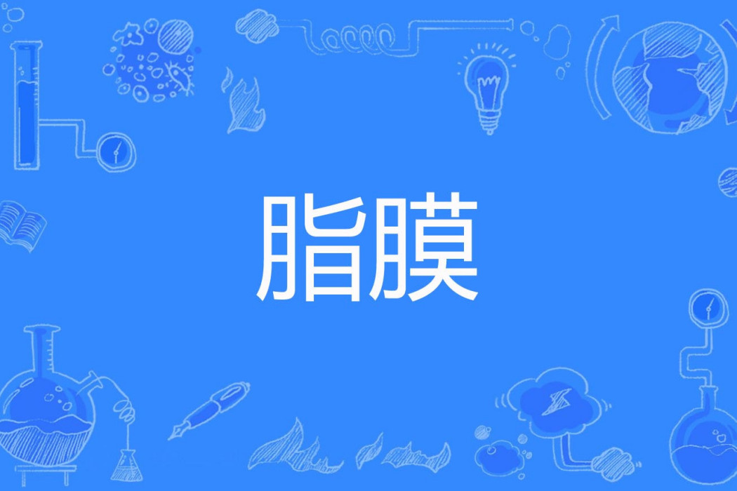 脂膜 脂膜