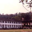 萬華岩鎮中心學校