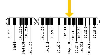 PTEN基因在染色體的位置