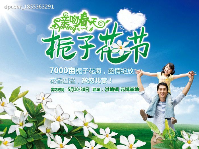 梔子花節 梔子花節