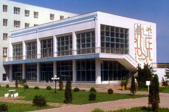 內蒙古大學藝術學院