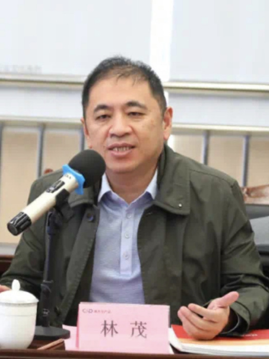 林茂(廈門建發股份有限公司黨委副書記、董事長) 林茂(廈門建發股份有限公司黨委副書記、董事長)