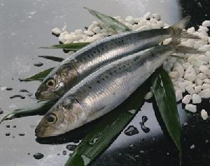 魚類是ω-3脂肪酸主要來源