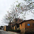龍嶺村(湖北鹹寧市赤壁市神山鎮龍嶺村) 龍嶺村(湖北鹹寧市赤壁市神山鎮龍嶺村)
