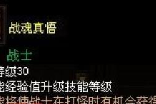 戰魂真悟 戰魂真悟