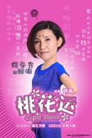 桃花運(2014年劉新執導電視劇)