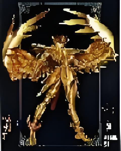 天世道 天世道