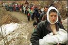 科索沃戰爭的難民