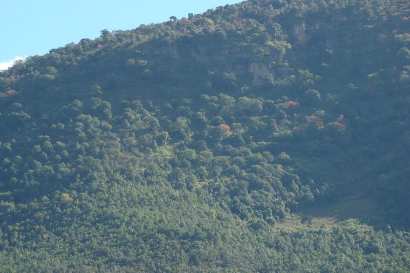 米篩落村 米篩落村