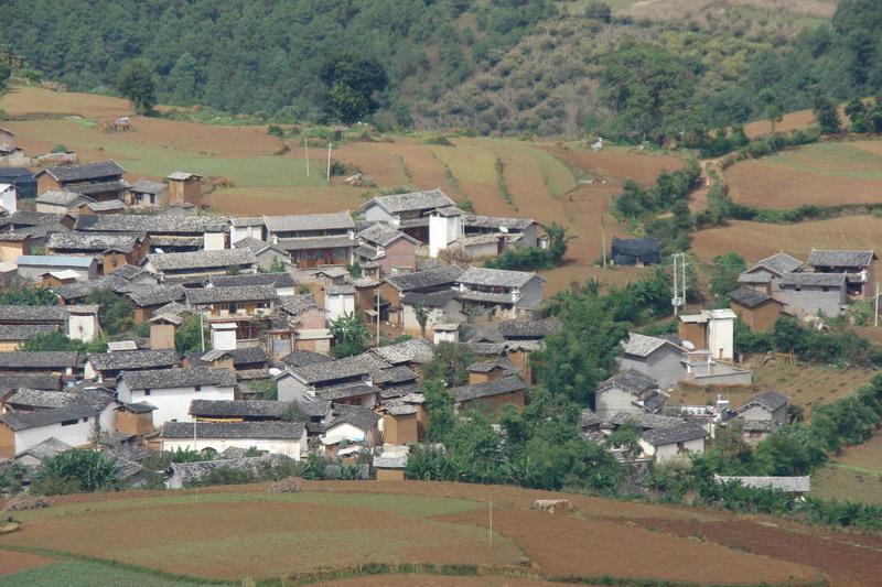 大柳水村 大柳水村