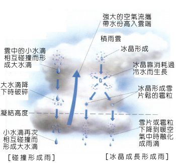 埃根核 埃根核