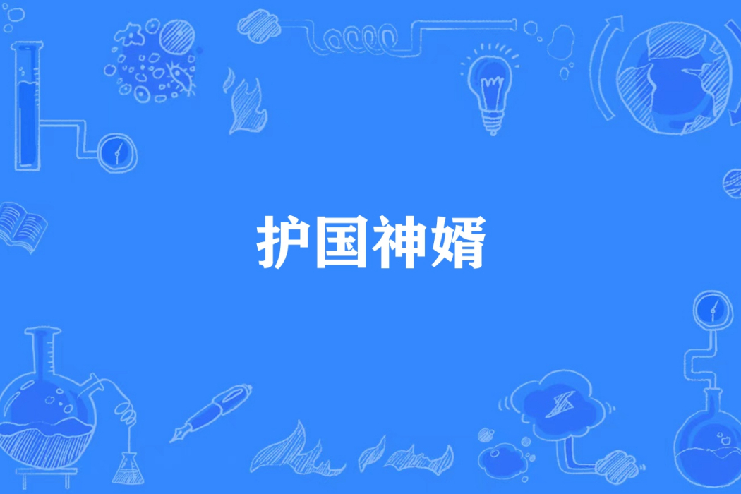 護國神婿 護國神婿