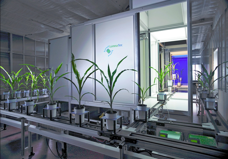 溫室型高通量植物表型平台