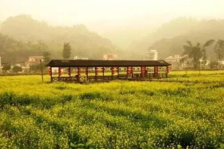花都梯面鎮 花都梯面鎮