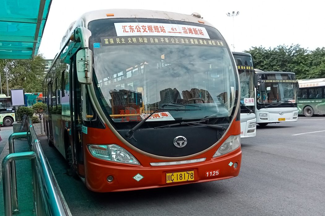 自貢公交61路 自貢公交61路