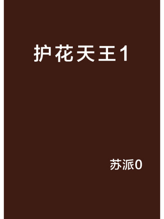 護花天王1 護花天王1