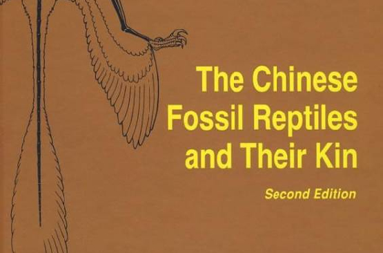 中國化石爬行類及其近親