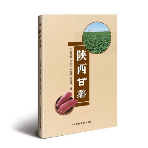 陝西甘薯 陝西甘薯