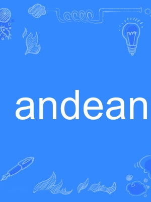 andean andean