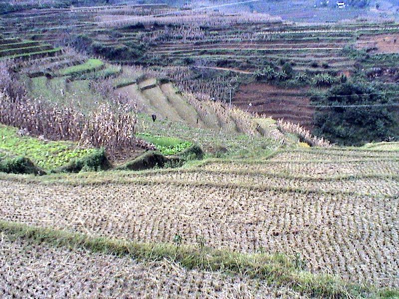 下寨溝村 下寨溝村