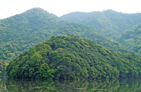 金盆山自然保護區美麗的金龍湖