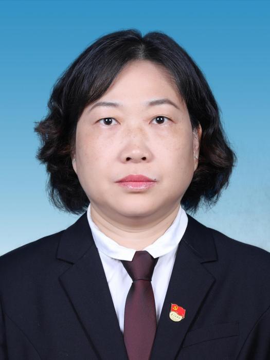 楊艷暉(湖北省宜昌市點軍區人大常委會黨組成員、副主任) 楊艷暉(湖北省宜昌市點軍區人大常委會黨組成員、副主任)