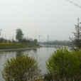 東越河村 東越河村
