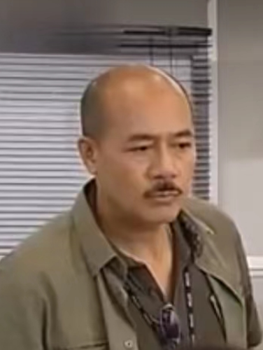 文柏柱 文柏柱