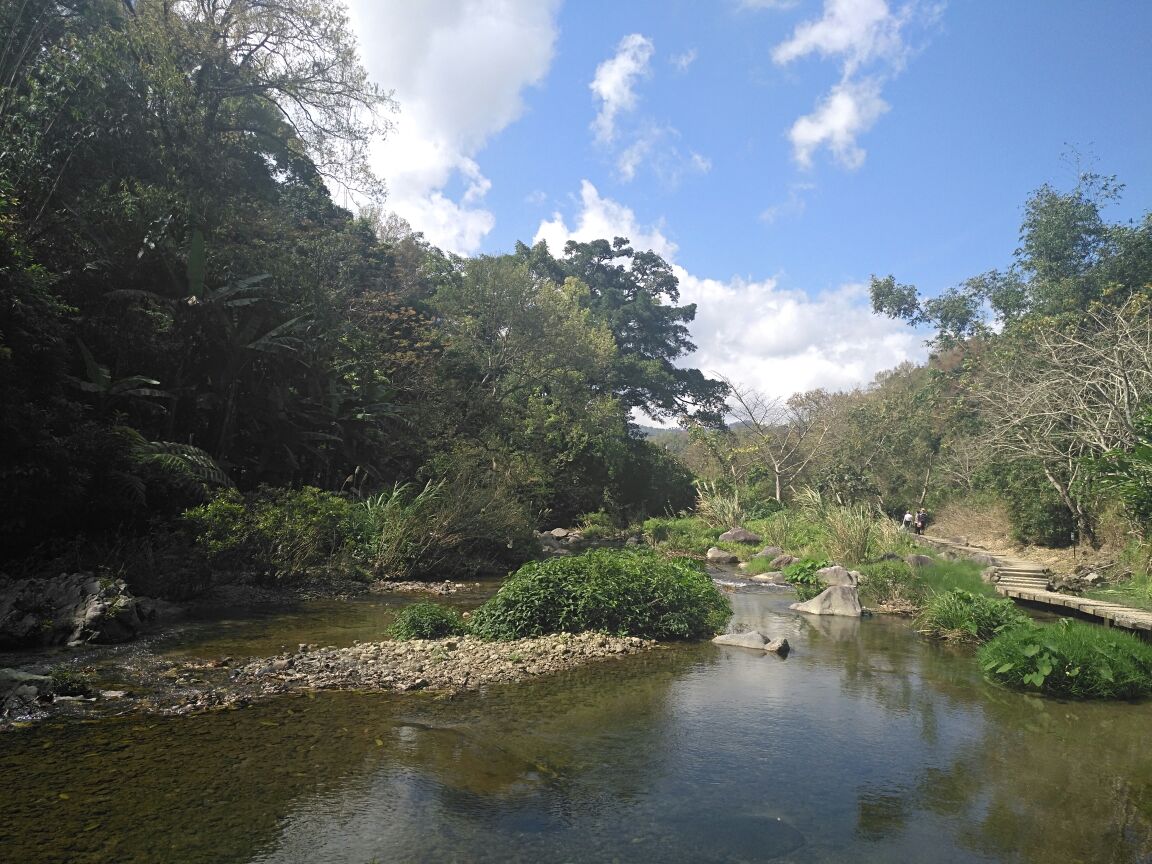 五指山水滿河熱帶雨林風景區