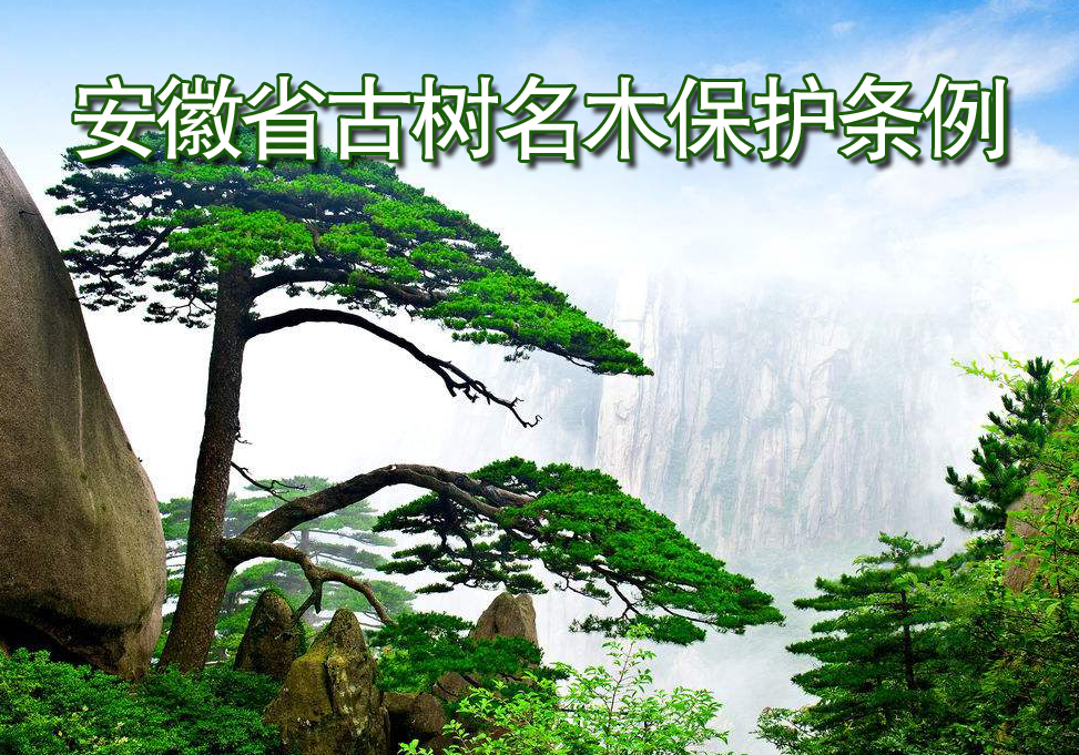 安徽省古樹名木保護條例