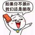 裝B 裝B