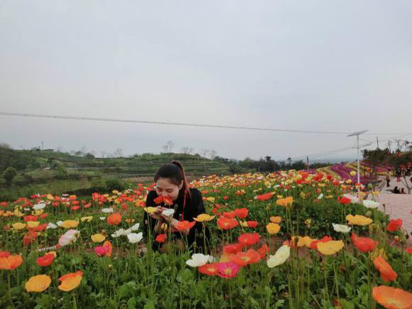 盛世花都(重慶古路盛世花都景區)