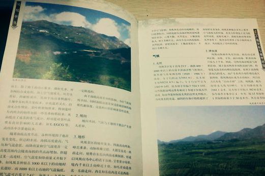 或許(詩歌) 或許(詩歌)