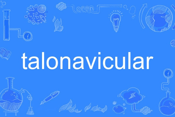 talonavicular talonavicular