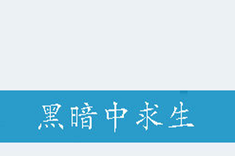黑暗中求生