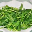 小紅毛菜 小紅毛菜