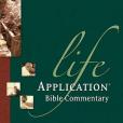 1 Timothy, 2 Timothy, Titus 1 Timothy, 2 Timothy, Titus