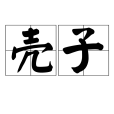 殼子 殼子
