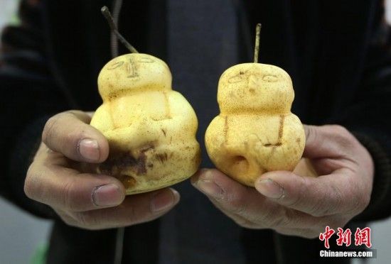 人形梨 人形梨