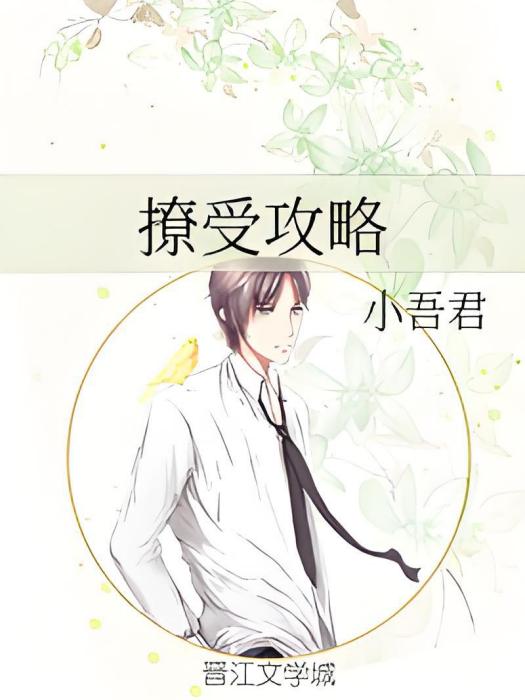 撩受攻略