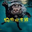 狗狗水底游
