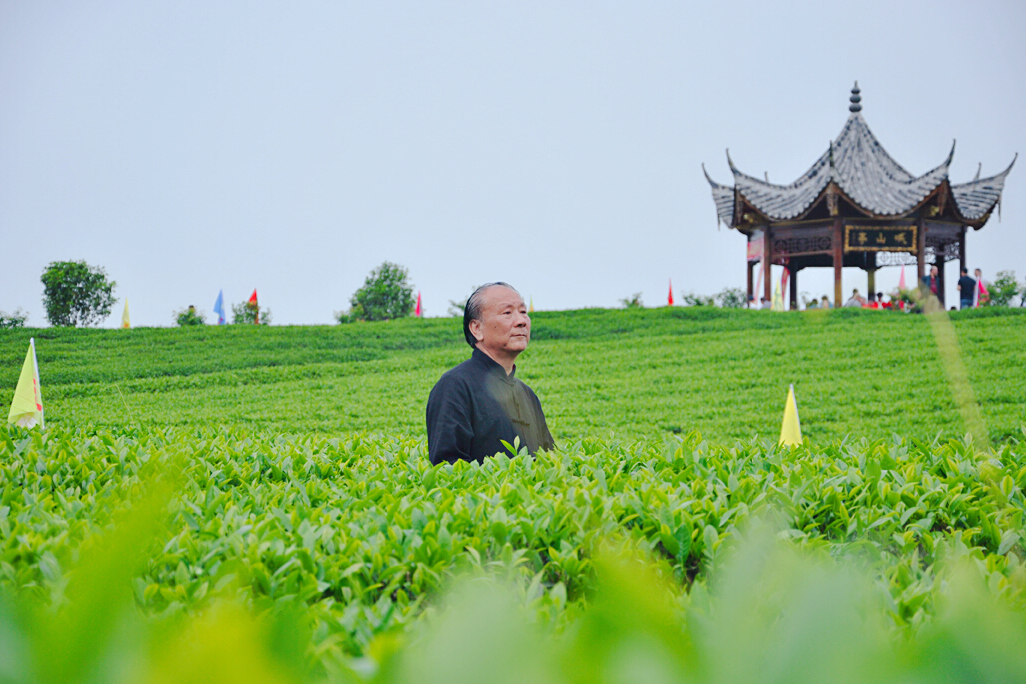 劉成龍(福建烏龍茶製作技藝非遺文化傳承人) 劉成龍(福建烏龍茶製作技藝非遺文化傳承人)