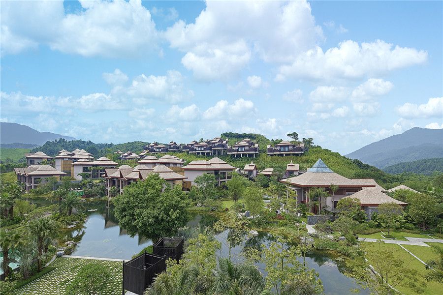 尼菲泰麗 尼菲泰麗